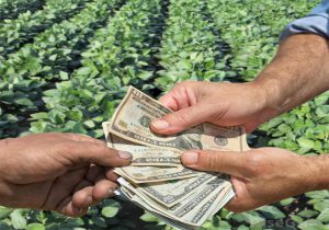 چگونه با کشاورزی پولدار شویم