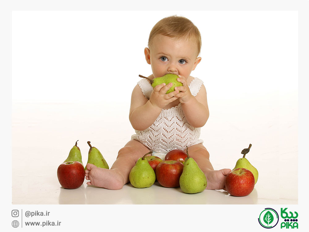 
										میوه نوزاد 8 ماهه						