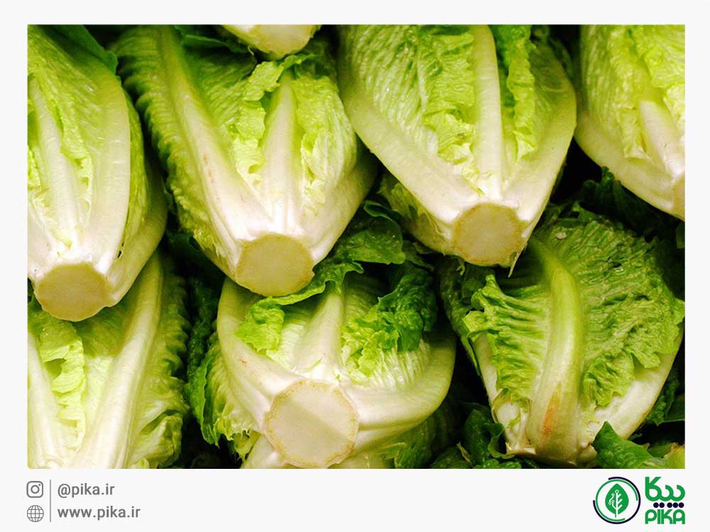 
										درمان یبوست با سبزیجات						