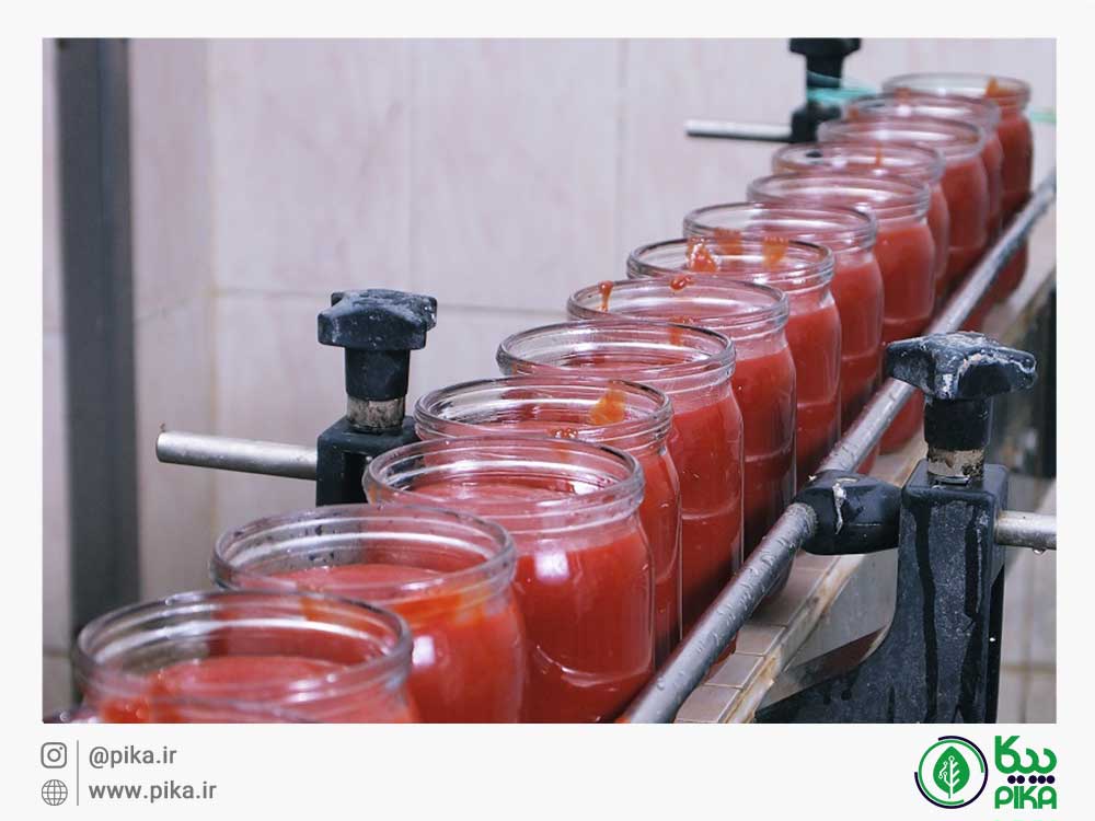 
										خط تولید رب گوجه فرنگی						