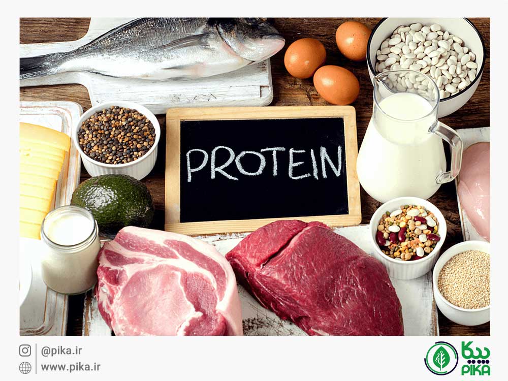 
										پروتئین گیاهی						