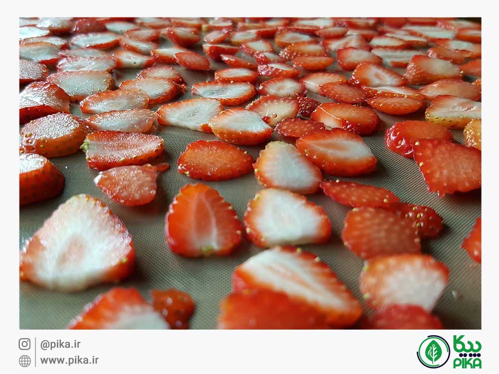 
										روش خشک کردن توت‌فرنگی						